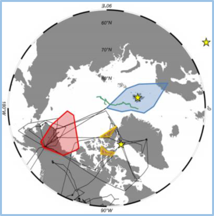 PONEX